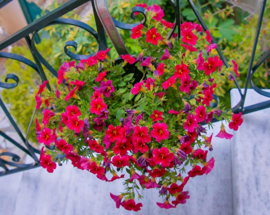 Flowers Studios Benitses  Ngoại thất bức ảnh